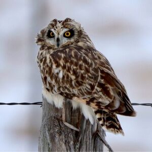 Meet your Posher, Christi